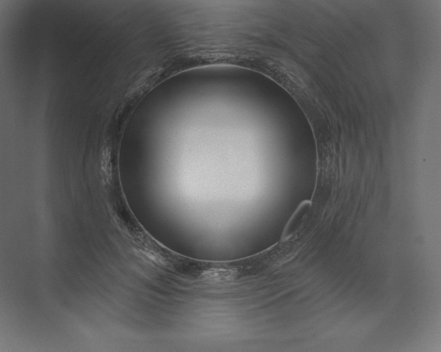 X0000074010700200609061050