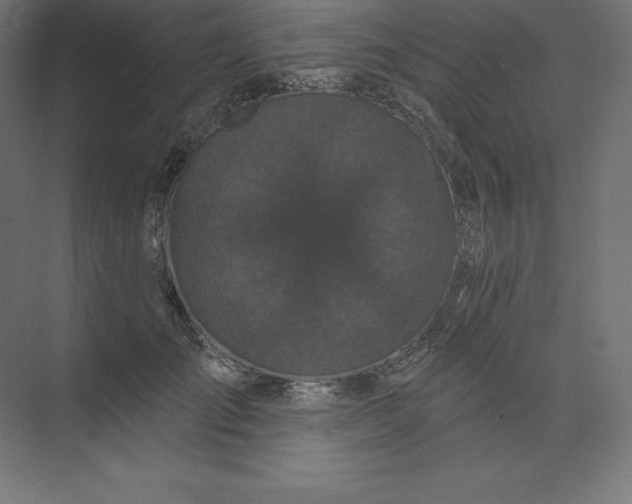 X0000074010701200609061050