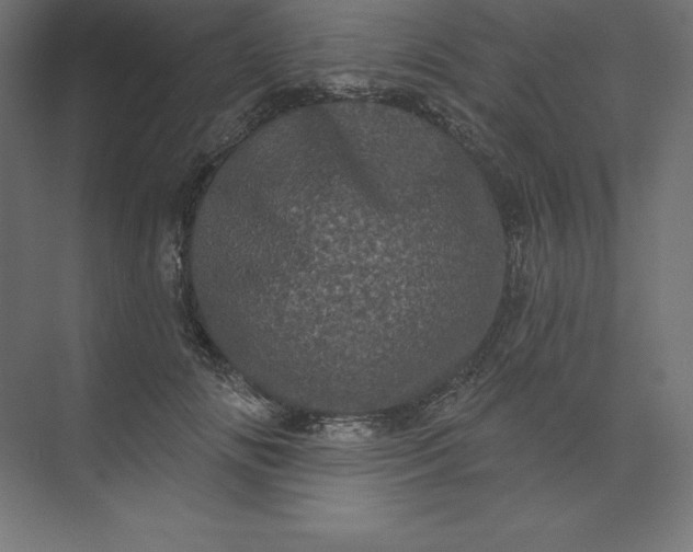 X0000074010702200609061050