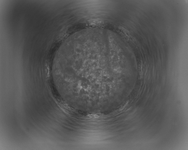 X0000074010703200609061050