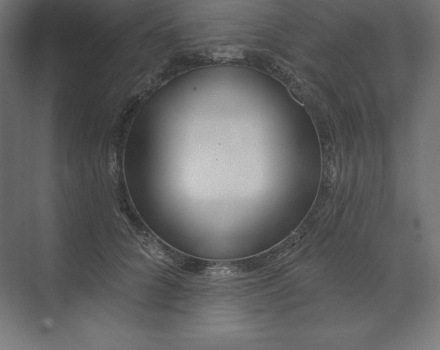 X0000074010704200609061050