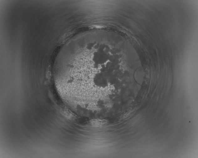 X0000074010707200609061050