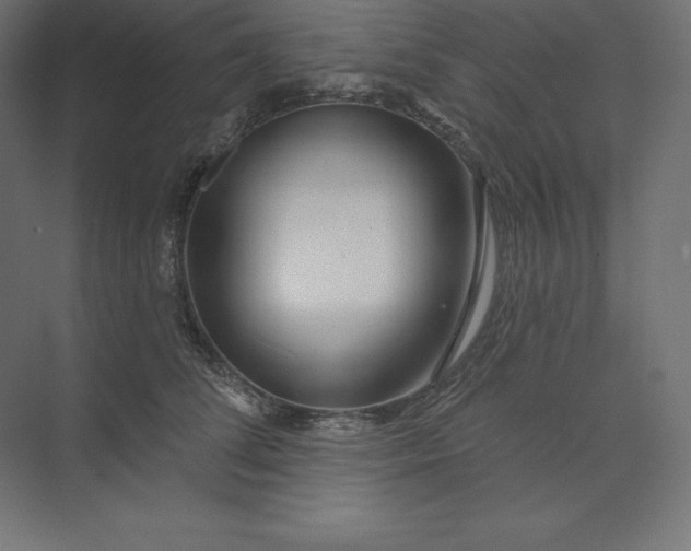 X0000074010708200609061050