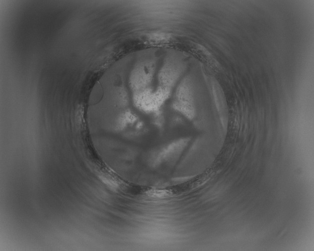 X0000074010711200609061050