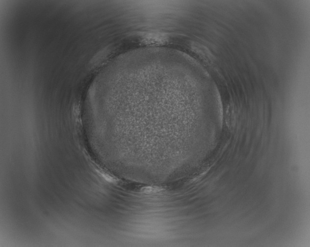 X0000074010714200609061049