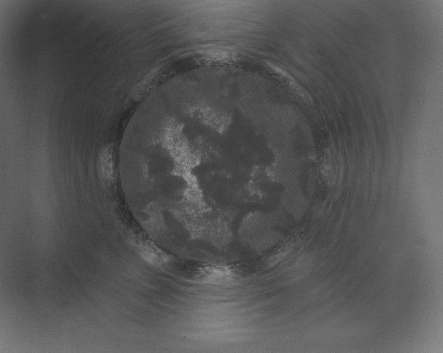 X0000074010715200609061049