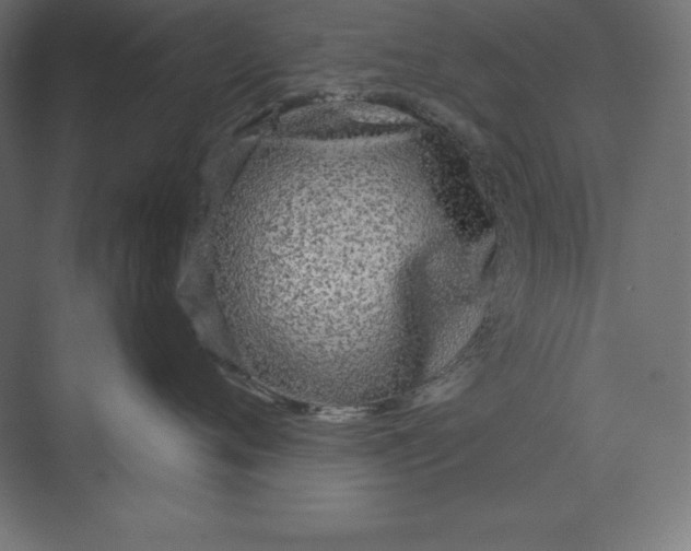 X0000074010720200609061049