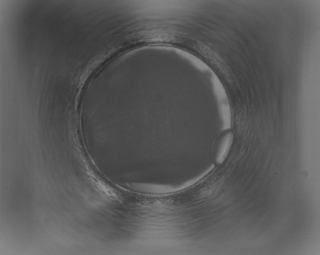 X0000074010721200609061049