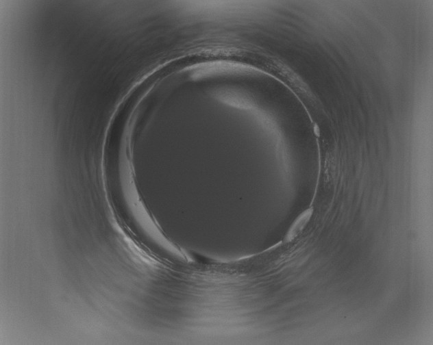 X0000074010722200609061049