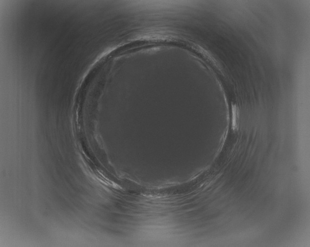 X0000074010723200609061049