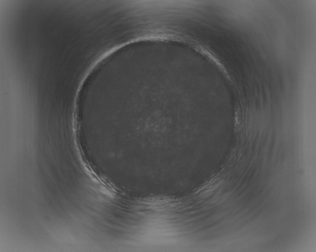 X0000074010724200609061049