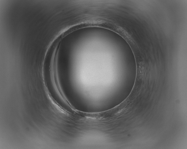 X0000074010726200609061049