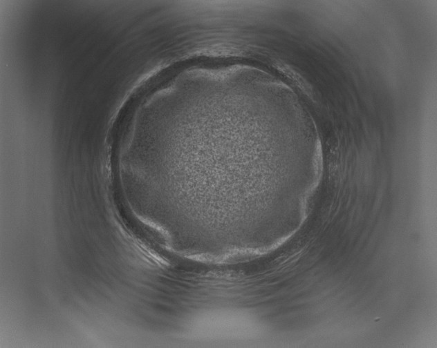 X0000074010727200609061049