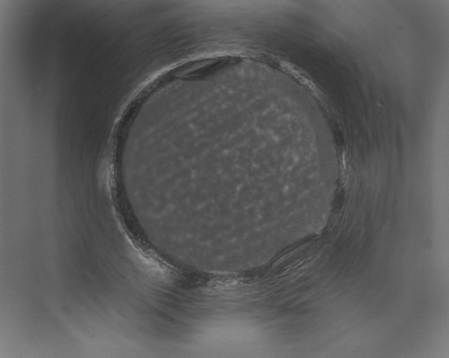 X0000074010728200609061049