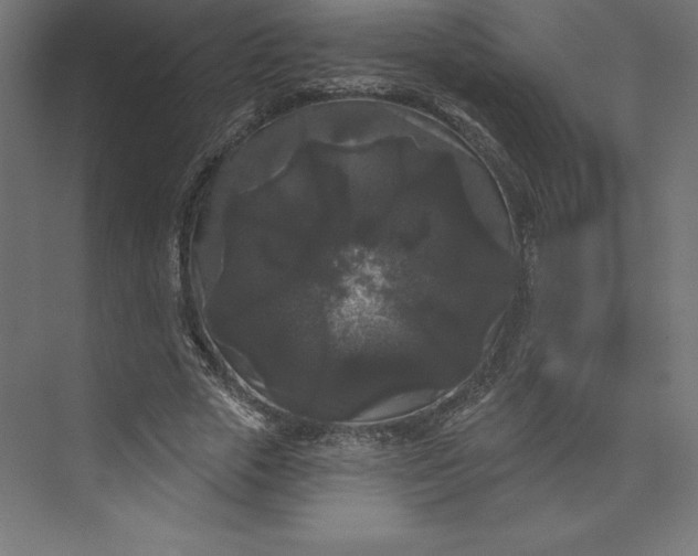 X0000074010729200609061049