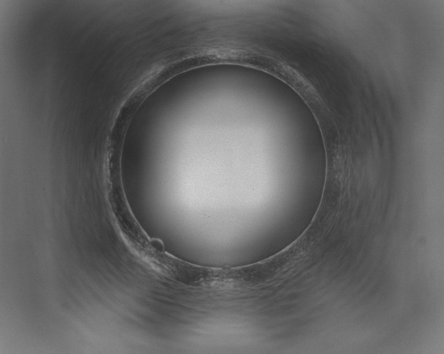 X0000074010730200609061049