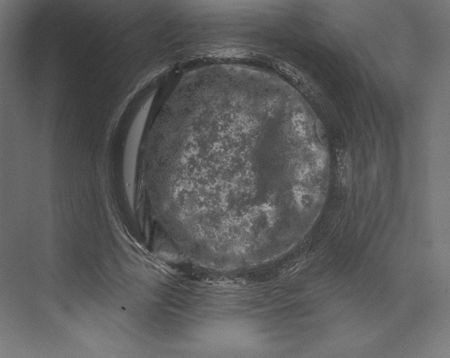 X0000074010731200609061049