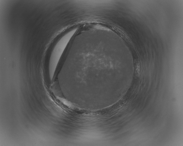 X0000074010732200609061049