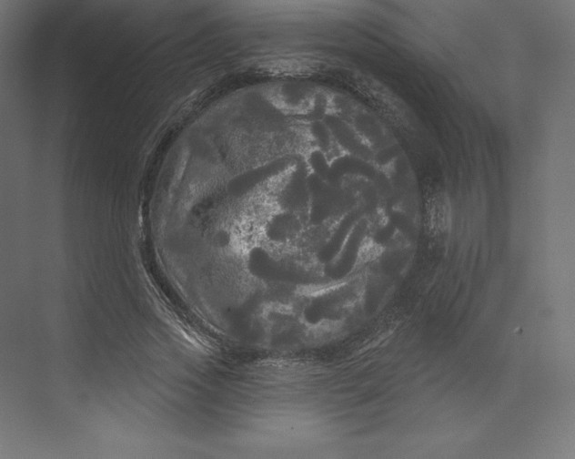 X0000074010733200609061049