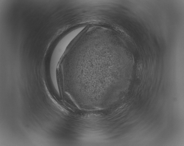 X0000074010734200609061049