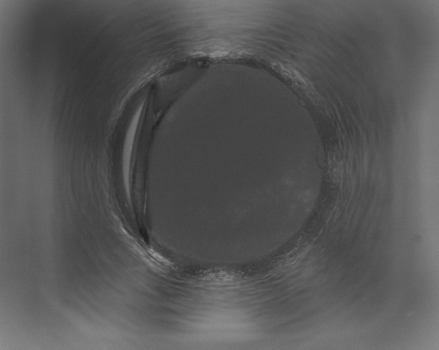 X0000074010735200609061049