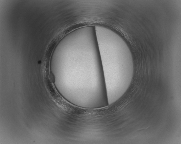 X0000074010736200609061049