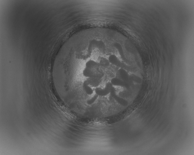 X0000074010737200609061049