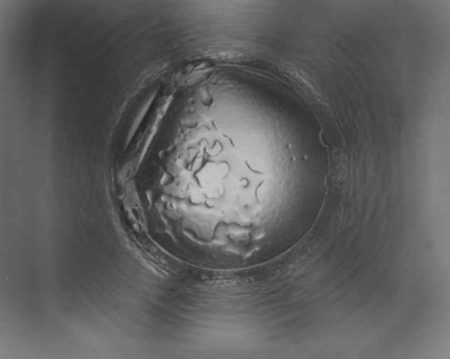 X0000074010738200609061049