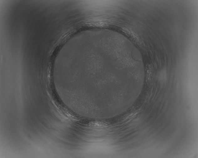 X0000074010739200609061049