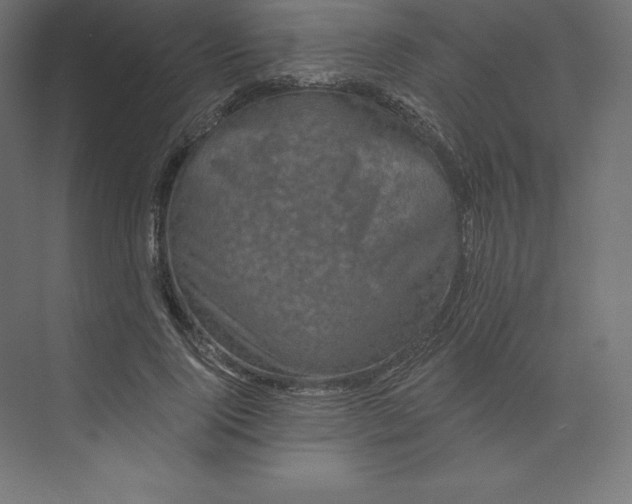 X0000074010740200609061049