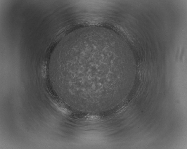 X0000074010741200609061049