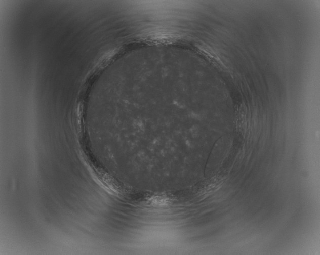 X0000074010742200609061049