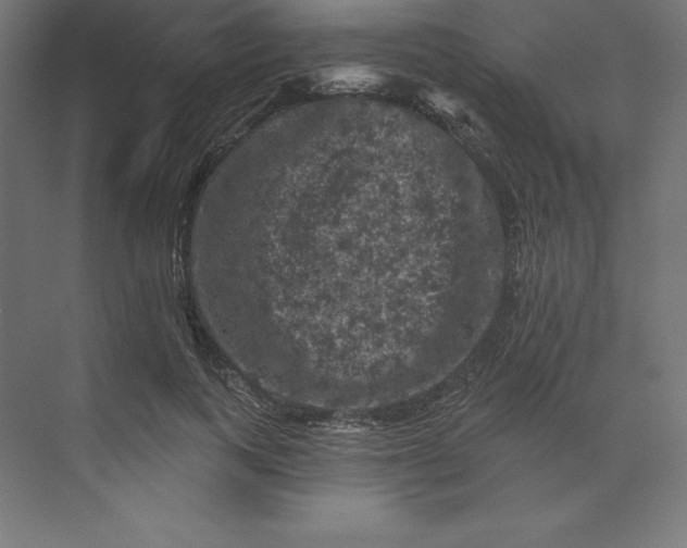 X0000074010743200609061049