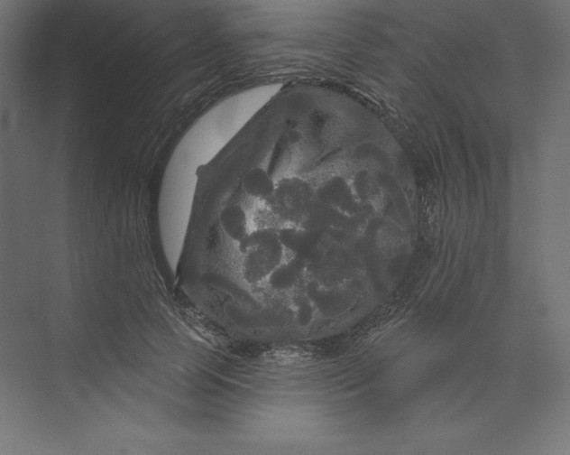 X0000074010745200609061049