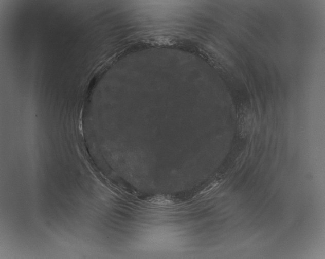 X0000074010747200609061049