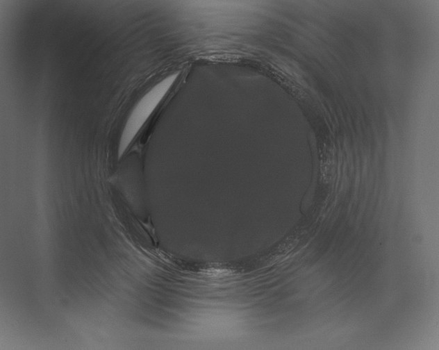 X0000074010748200609061049