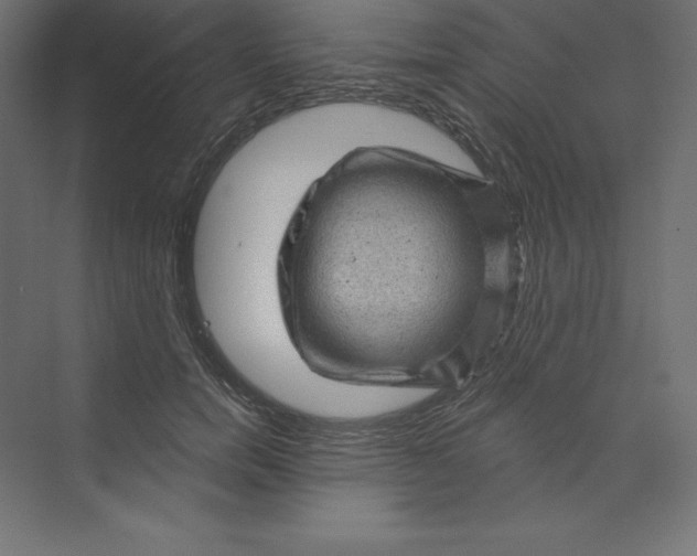 X0000074010750200609061049