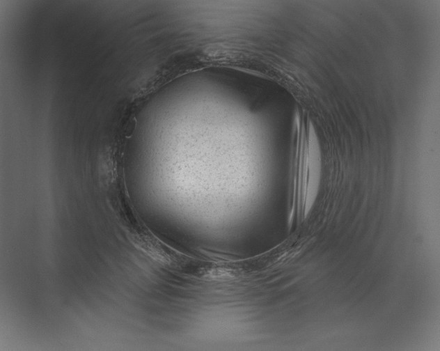 X0000074010751200609061049