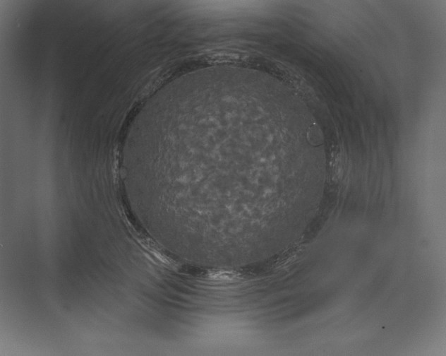 X0000074010753200609061049