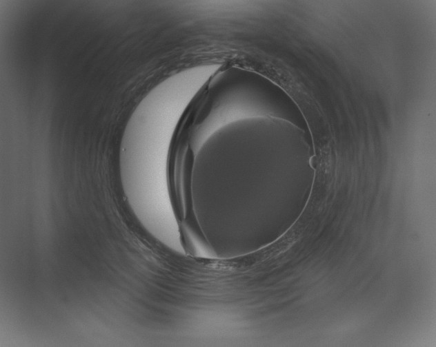 X0000074010754200609061049