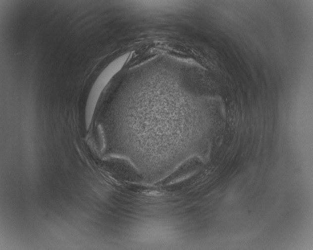 X0000074010755200609061049