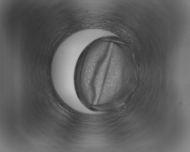 X0000074010756200609061049