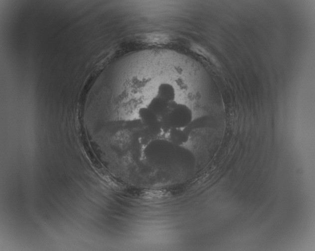 X0000074010757200609061049