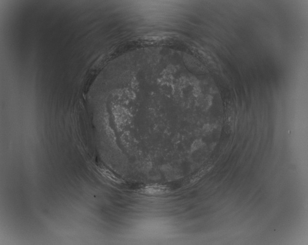 X0000074010758200609061049