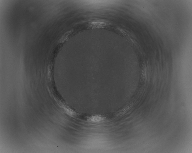 X0000074010759200609061049