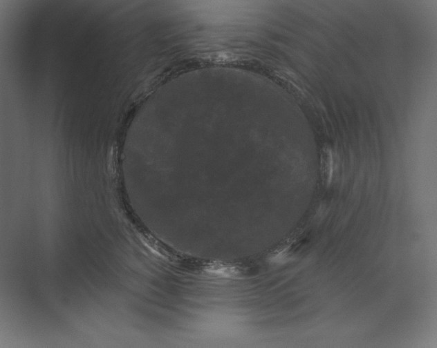 X0000074010760200609061049