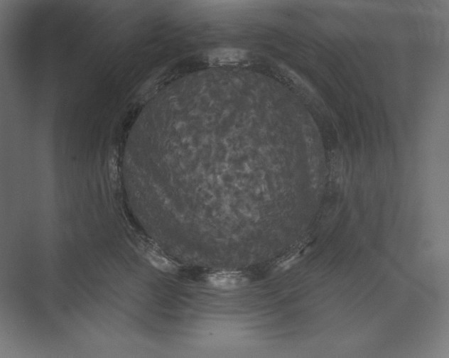 X0000074010761200609061049