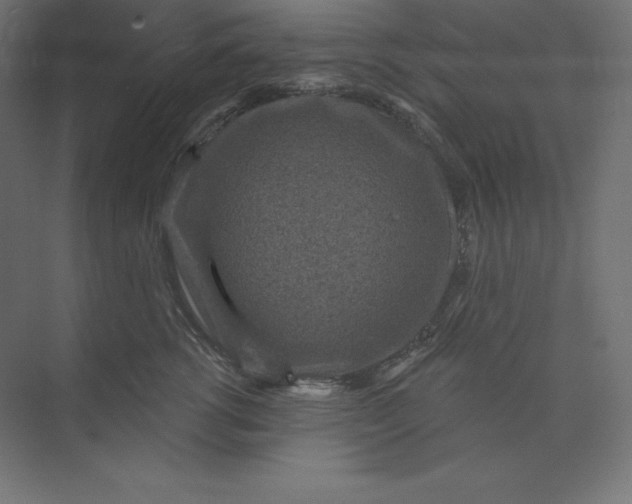 X0000074010762200609061049