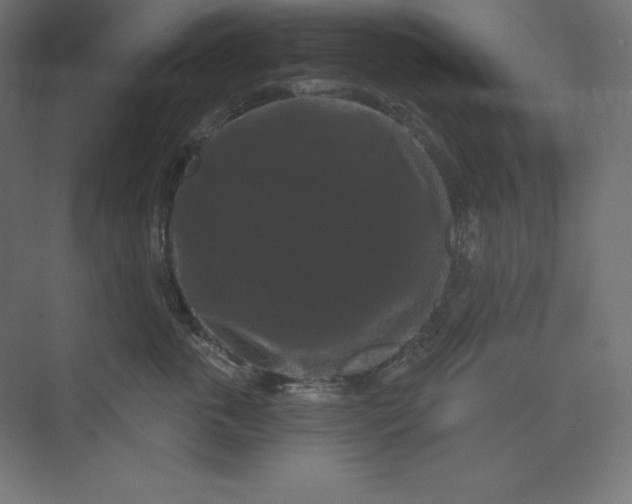 X0000074010763200609061049