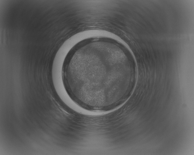 X0000074010764200609061049